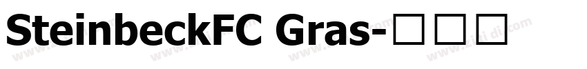 SteinbeckFC Gras字体转换